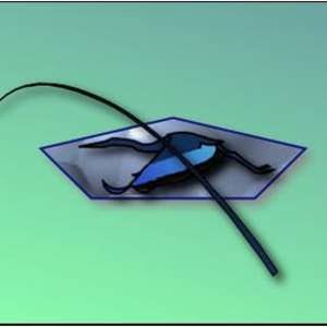 Meet your Posher, Tom